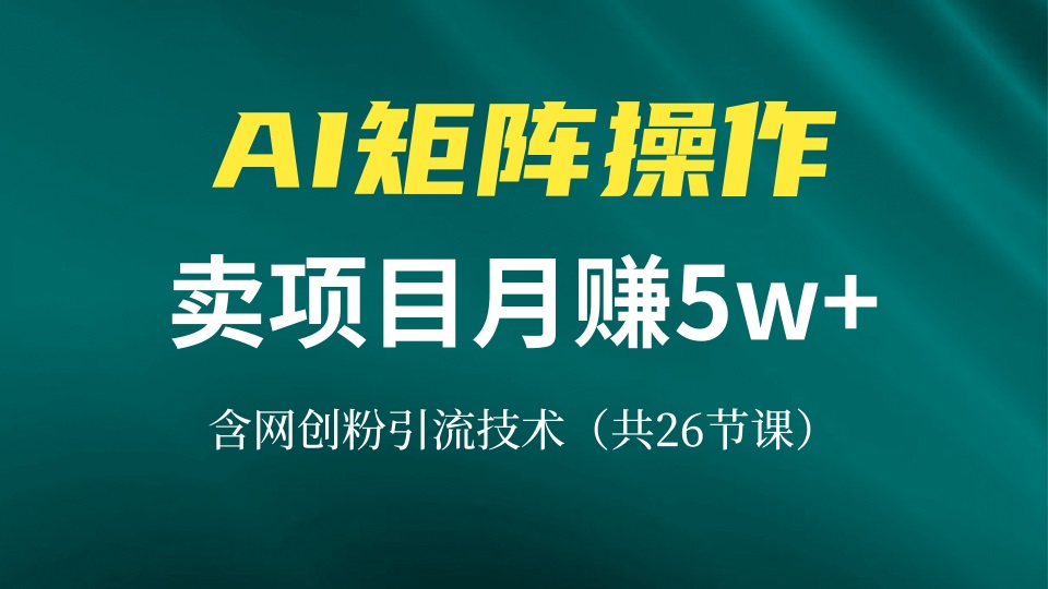 网创IP打造课，借助AI卖项目月赚5万+，含引流技术(共26节课 - 开始创业网