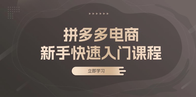 拼多多电商新手快速入门课程：涵盖基础、实战与选款，助力小白轻松上手 - 开始创业网