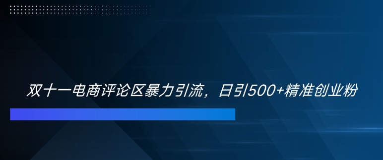 双十一电商评论区暴力引流，日引500+精准创业粉【揭秘】 - 开始创业网